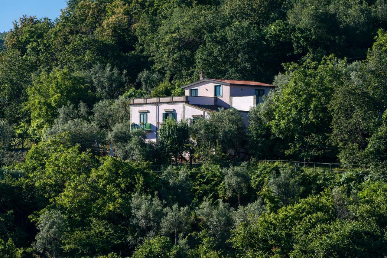 Hotel Il Casale Sorrente Extérieur photo